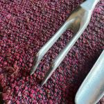 Vintage Aluminum Garden Tool Set - Rake & Shovel