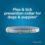 Seresto Flea & Tick Collar for Dogs 18+ lbs
