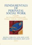 Perinatal Social Work Essentials Monograph