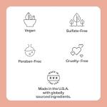 Mario Badescu Aloe Herbal Rose Facial Spray