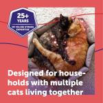 Feliway MultiCat Starter Kit, 48ml