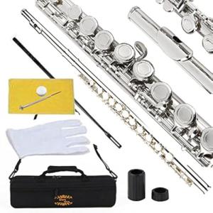 Nickel Silver Closed Hole C Flute with Accessories