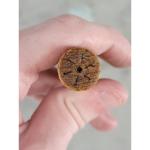 Canadian Vintage Metal Cake Decorating Tool