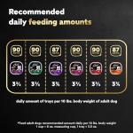 Classic Loaf Wet Dog Food Variety Pack 36 Trays