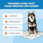 100 Disposable Dog Training Pads – Ultra Absorbent