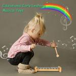 LOOIKOOS Eco-Friendly Musical Instruments for Toddlers