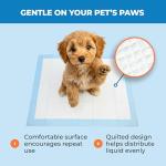 100 Disposable Dog Training Pads – Ultra Absorbent