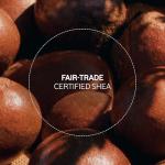 L'OCCITANE 10% Organic Ultra Rich Lip Balm