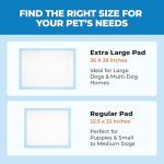 100 Disposable Dog Training Pads – Ultra Absorbent