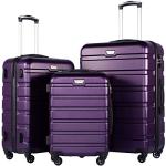 Coolife Luggage 3 Piece Set Suitcase Spinner Hardshell Lightweight TSA Lock (purple, 20/24/28)