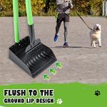 Stainless Steel Dog Pooper Scooper Set