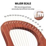 Donner 16-String Lyre Harp with Accessories
