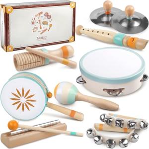 Montessori Musical Instruments Set for Toddlers
