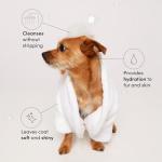 OUAI Dog Shampoo, Mercer Street Scent