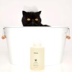 OUAI Dog Shampoo, Mercer Street Scent