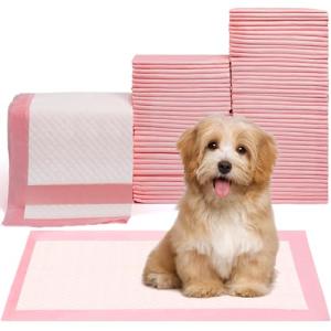 Ultra Absorbent Disposable Pet Training Pads - 100 Count