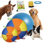 Heavy Duty Inflatable Herding Ball for Dogs
