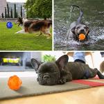 Tough Chew Ball with Squeaker for Dogs
