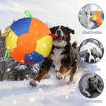 Heavy Duty Inflatable Herding Ball for Dogs