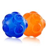 Tough Chew Ball with Squeaker for Dogs