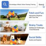 Heavy Duty Inflatable Herding Ball for Dogs