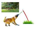 Durable Tug of War Rope Toy for Dogs