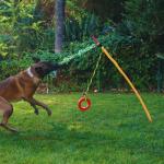 Durable Tug of War Rope Toy for Dogs