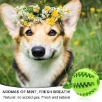 Durable Interactive Dog Toy Ball for Chewers