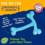 Arm & Hammer Peanut Butter Dental Dog Chews
