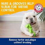 Arm & Hammer T-Rex Dental Chew Toy for Dogs