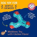 ARM & HAMMER Chicken Flavor Dog Dental Chew Toy