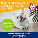 Arm & Hammer Peanut Butter Dental Dog Chews