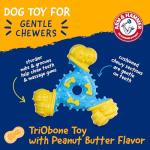 ARM & HAMMER Nubbies TriBone Dog Chew Toy