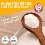 Arm & Hammer Peanut Butter Dental Dog Chews