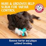 ARM & HAMMER Chicken Flavor Dog Dental Chew Toy