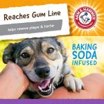 Arm & Hammer Nubbies Dog Dental Chew Toy