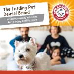 Arm & Hammer Mini Gorilla Dental Chew Toy for Dogs