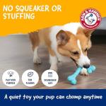 Arm & Hammer Peanut Butter Dental Dog Chews