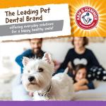 Arm & Hammer Nubbies Dog Dental Chew Toy