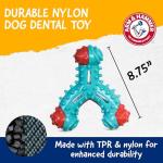 ARM & HAMMER Chicken Flavor Dog Dental Chew Toy