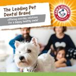 Arm & Hammer Super Treadz Gator Chew Toy