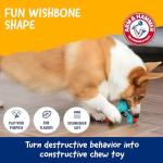 ARM & HAMMER Chicken Flavor Dog Dental Chew Toy