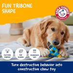 ARM & HAMMER Nubbies TriBone Dog Chew Toy
