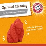 Arm & Hammer Mini Gorilla Dental Chew Toy for Dogs