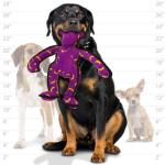 Tuffy Tough Dog Toy - Zoo Squeaker Set