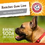 Arm & Hammer Mini Gorilla Dental Chew Toy for Dogs