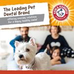 Arm & Hammer Mini Gorilla Dental Chew Toy for Dogs