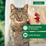 Advantage II Flea Control for Large Cats 6-Pack