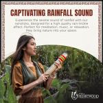 20" Cactus Rainstick Musical Instrument with Rasta Wrap