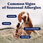 Gold Dog Allergy Relief Chews with Salmon Oil